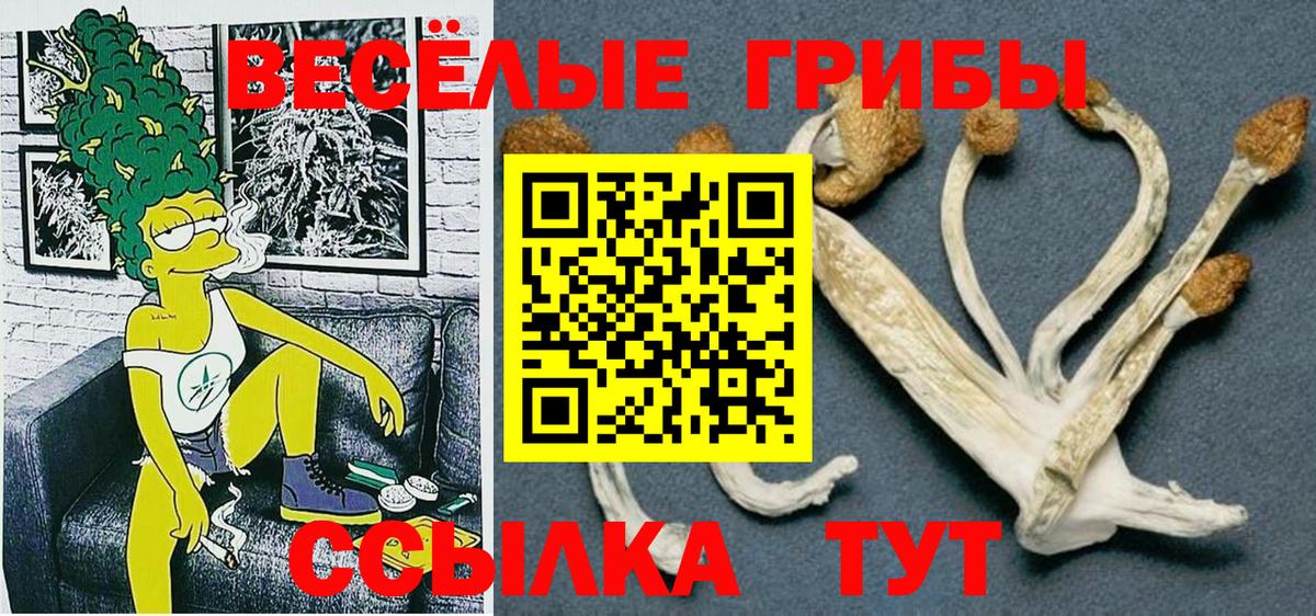 Людиново  Псилоцибиновые грибы Psilocybe  где найти   Вход с VPN 